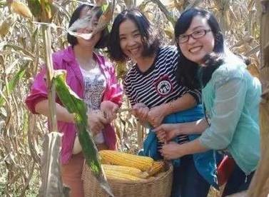 2.掰玉米人員25名，要求至少1年工作經(jīng)驗，手腕有勁手指靈活，拉呱時(shí)候能不耽誤干活，皮糙肉厚者優(yōu)先：